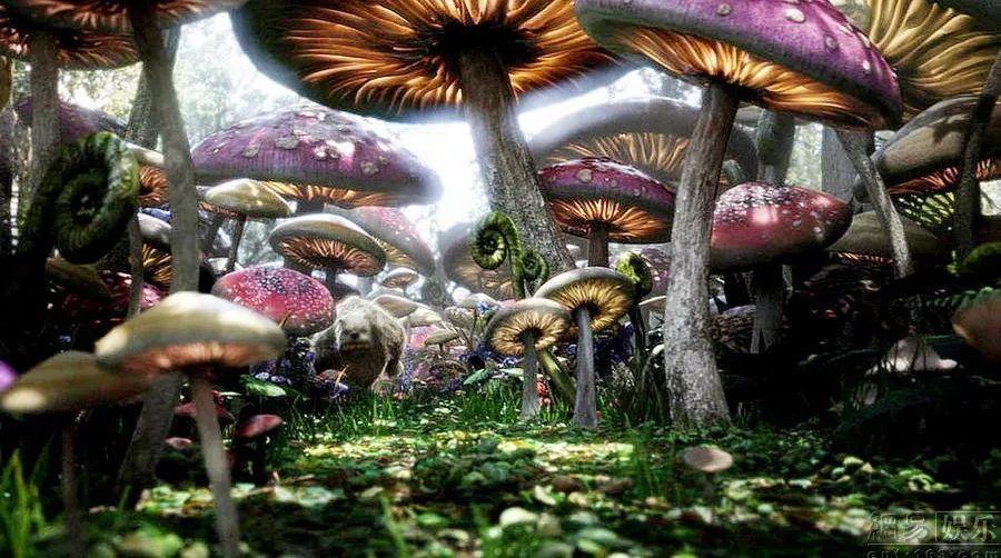 有做过迪马斯提牛奶酸的姐妹快来说说效果怎么样 ？